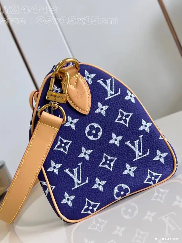 Aaa replica bags Vuitton 25 SPEEDY Louis 0603